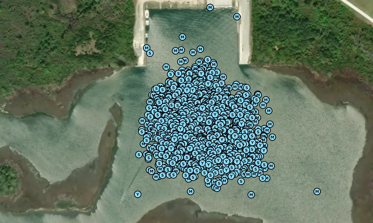 Satelite image of Mile Hammock Bay