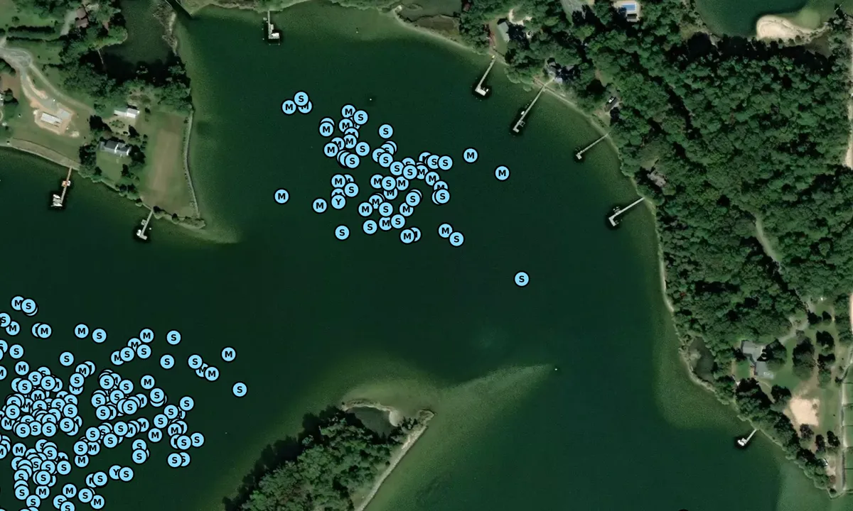 Satelite image of Mill Creek - 1