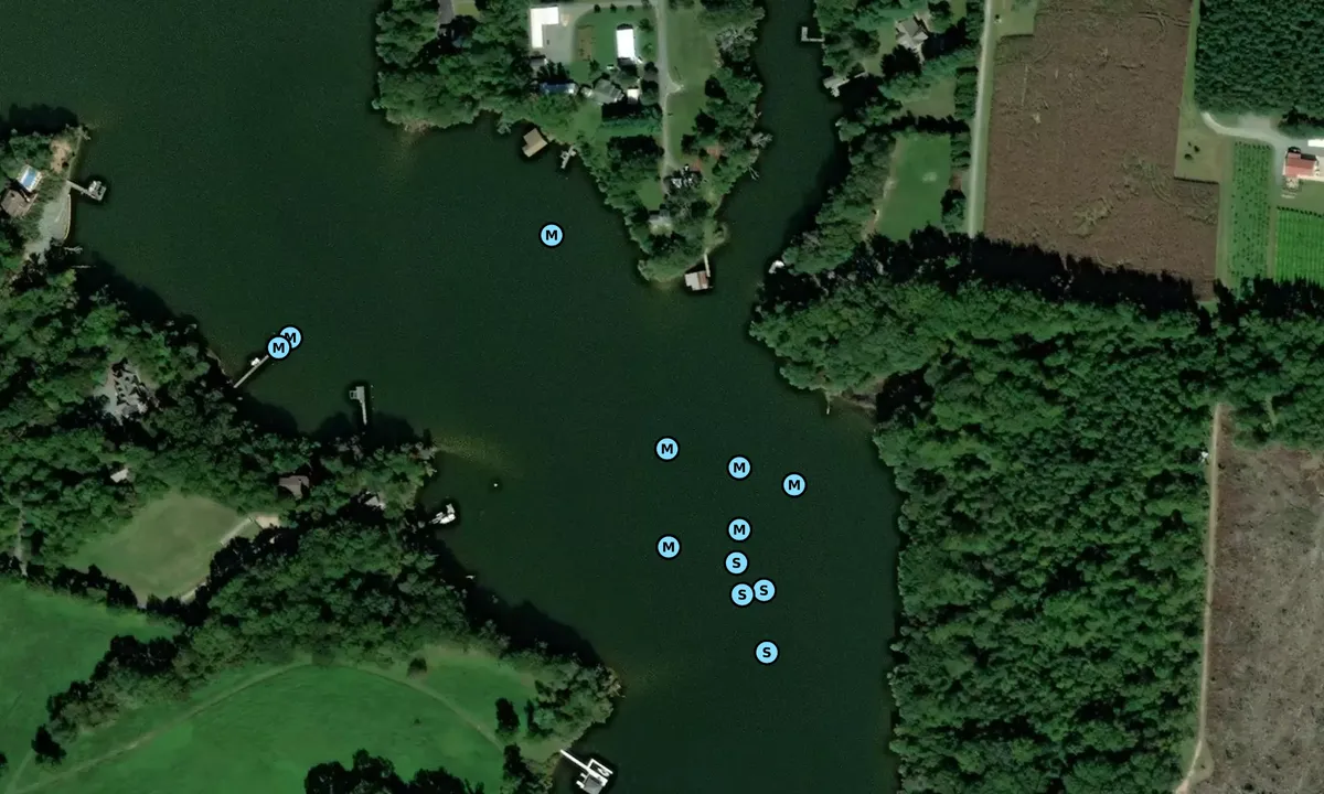 Satelite image of Mill Creek - 5
