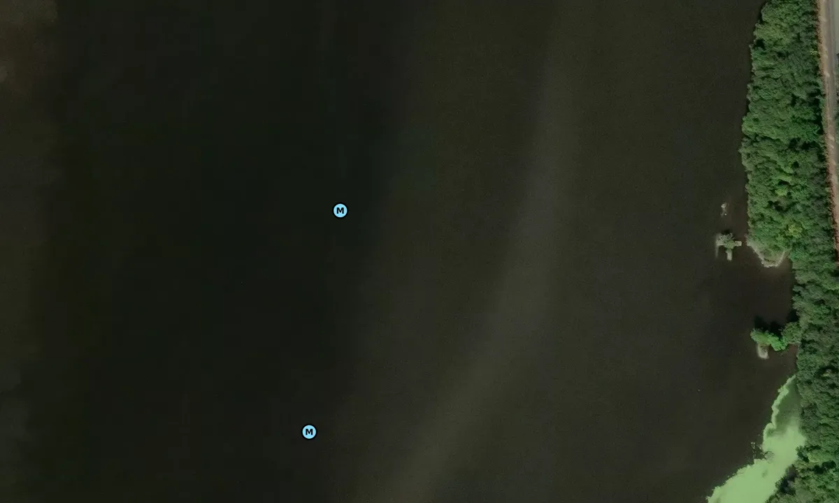 Satelite image of Mills Mansion