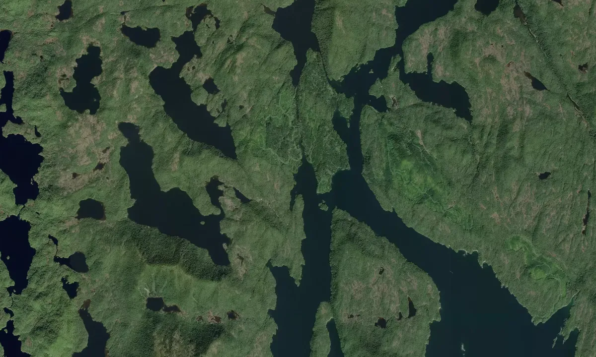 Flyfoto av Mitchell Cove