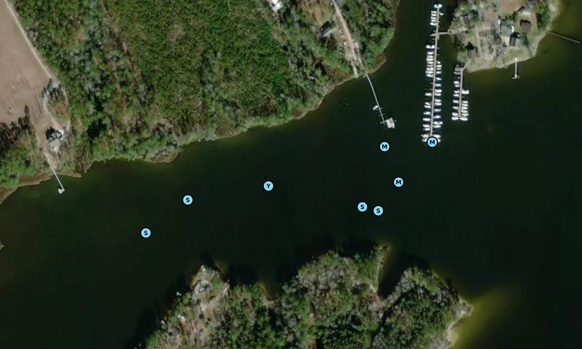 Satelite image of Mitchell Creek