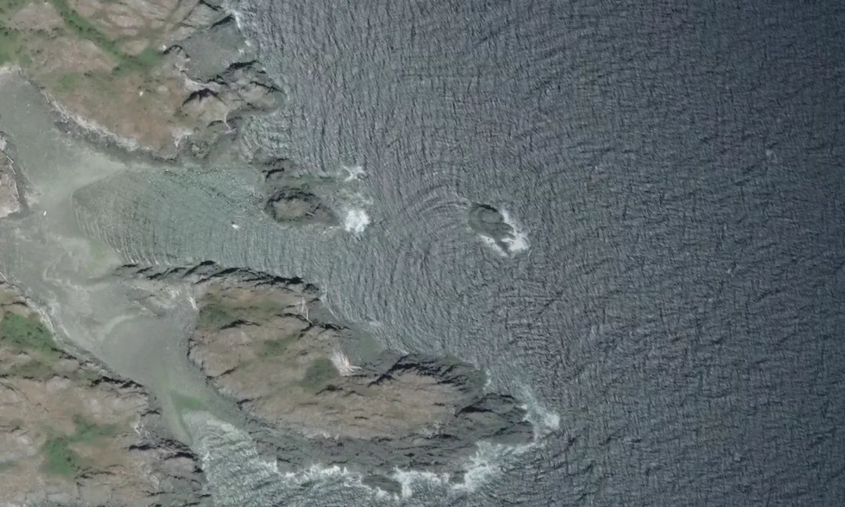 Satelite image of Mitlenatch Island