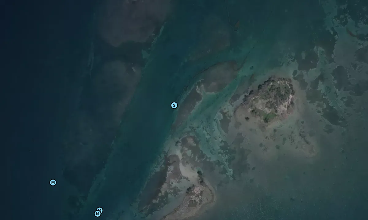 Satelite image of Molasses Key