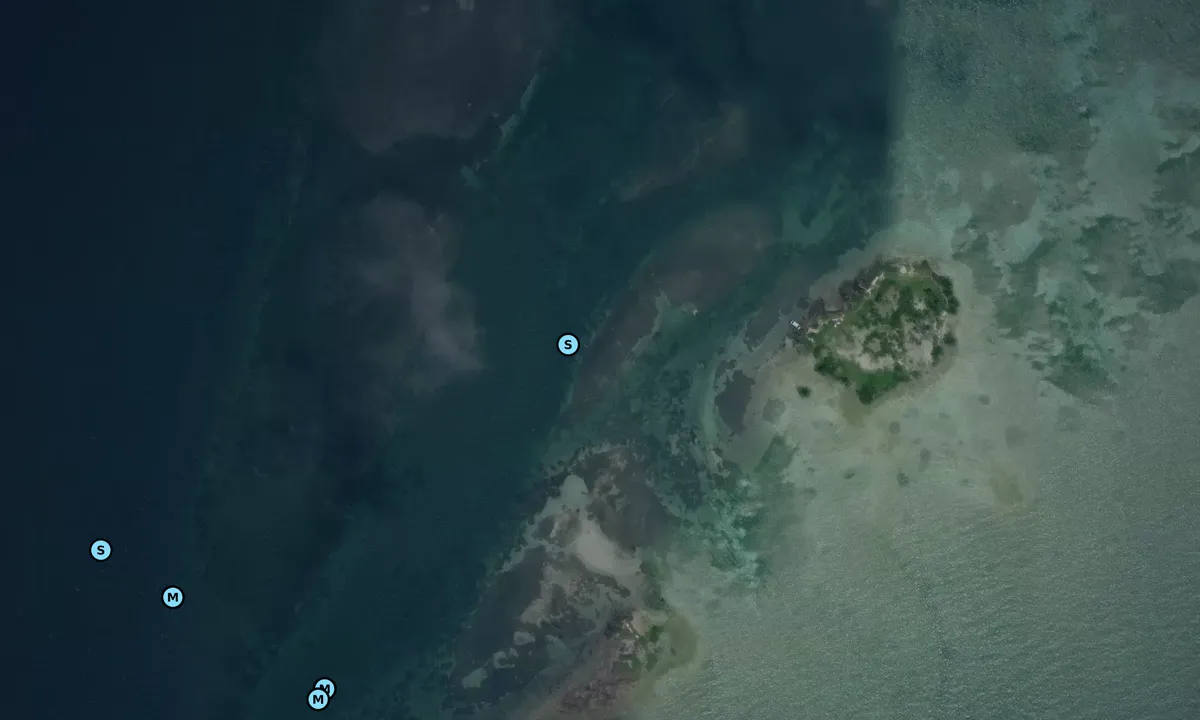 Satelite image of Molasses Key