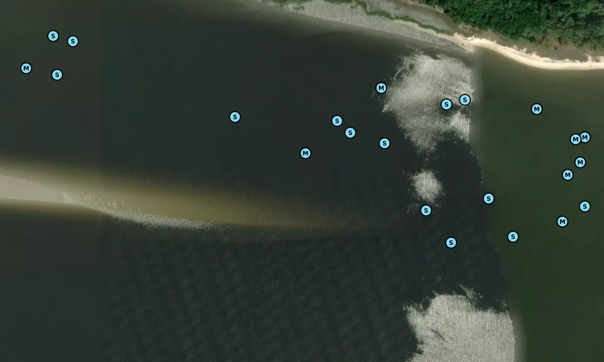Satelite image of Monkey Island