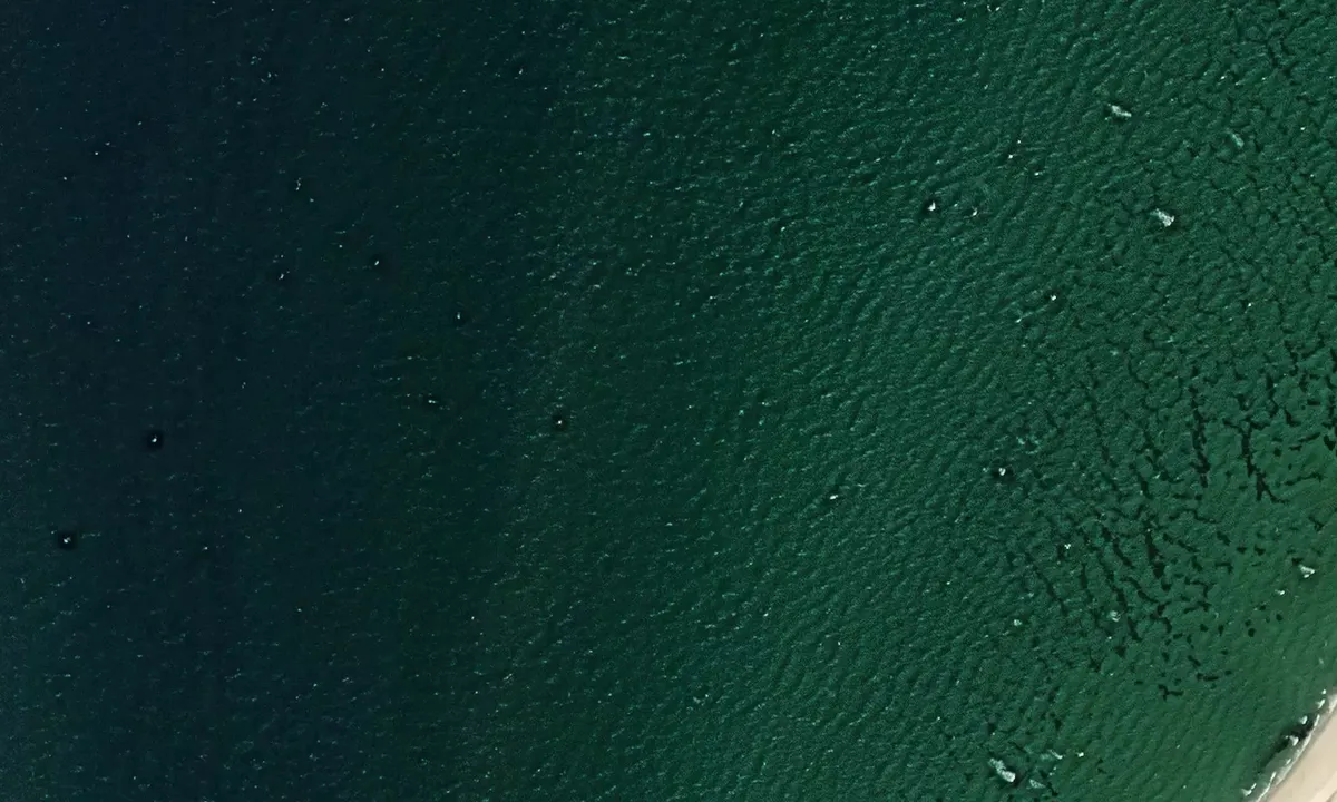 Satelite image of Monomoy Island