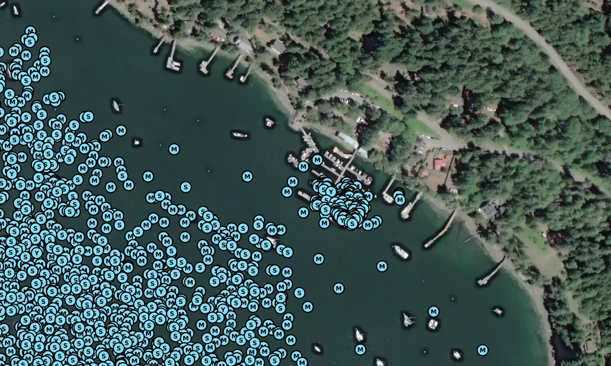 Satelite image of Montague Harbour Marina