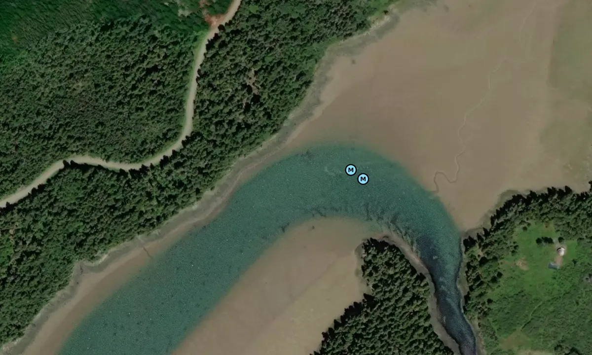 Satelite image of Moose Snare Cove 1