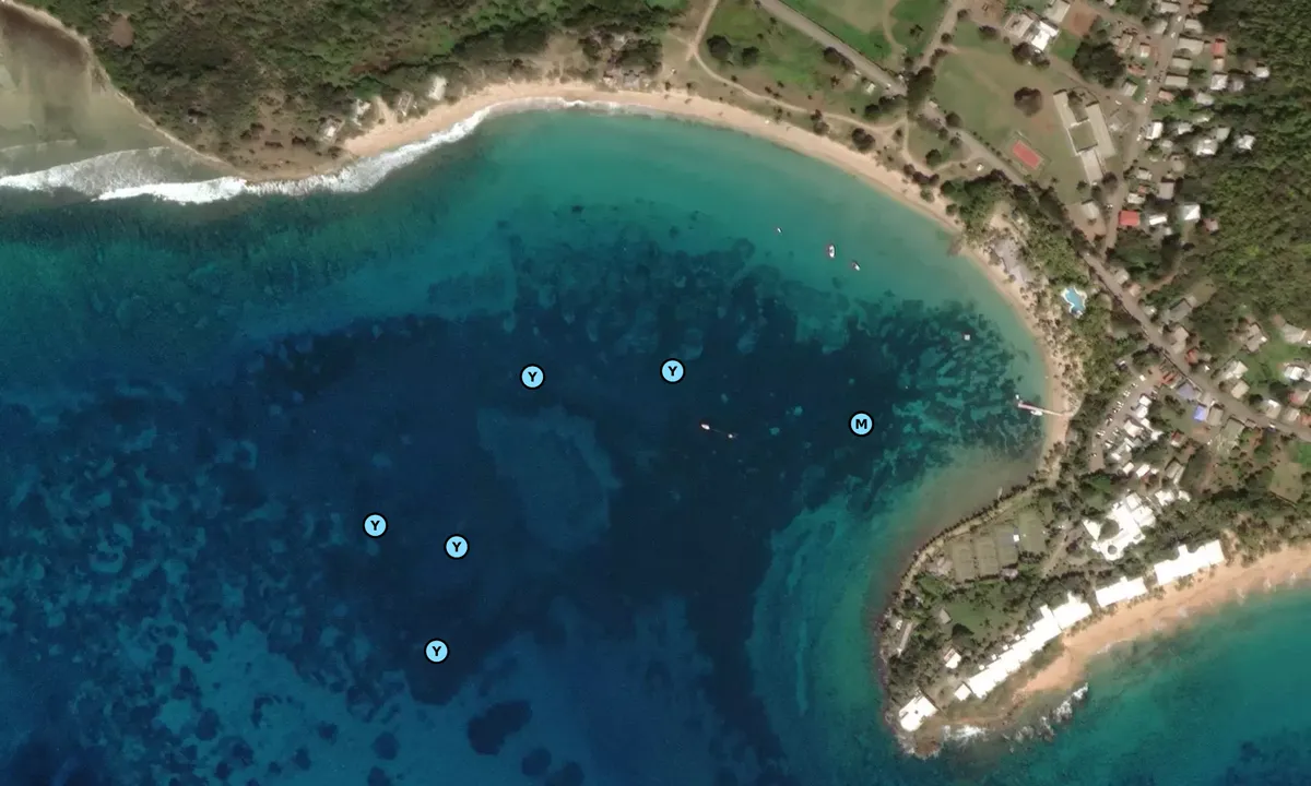 Satelite image of Morris Bay