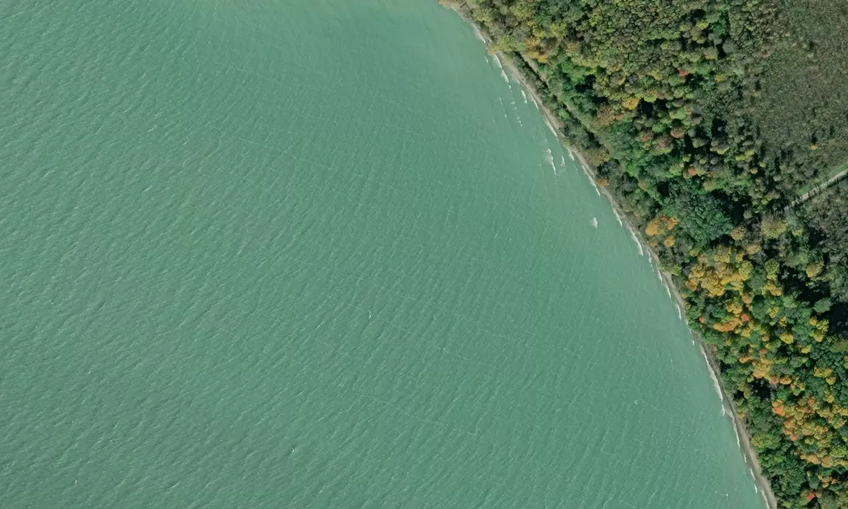 Satelite image of Mosquito Bay - Pelee Island