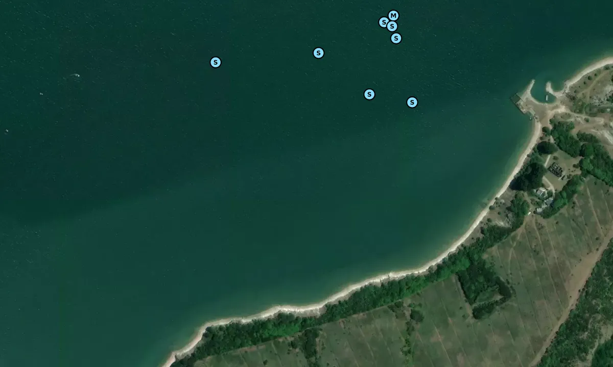 Satelite image of Motu Matakohe North