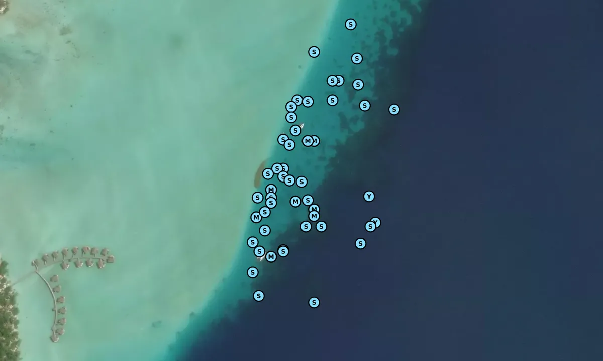 Satelite image of Motu Tau Tau