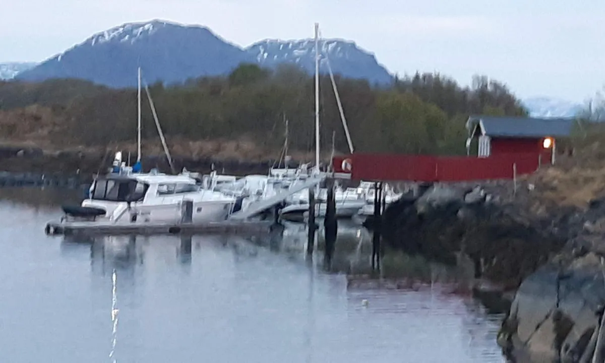 Møyhamna: Gjestebrygge og havn.