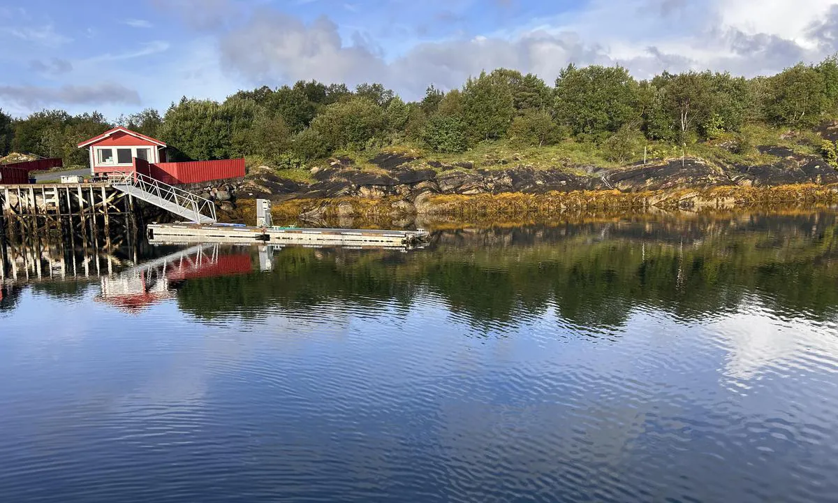 Møyhamna: {"base": "no", "no": "Rolig fin havn. Men obs p\u00e5 fort\u00f8yninger i endene p\u00e5 brygge som l\u00e5 grunt", "se": "Lugn fin hamn. Men obs p\u00e5 f\u00f6rt\u00f6jningar i \u00e4ndarna av brygga som l\u00e5g grunt", "en": "Calm, nice harbor. But keep an eye on the moorings at the ends of the dock as they were shallow", "da": "<p>Rolig fin havn. Men obs p\u00e5 fort\u00f8jninger i enderne p\u00e5 broen som l\u00e5 lavt.</p>", "fr": "Port calme et agr\u00e9able. Mais attention aux amarrages aux extr\u00e9mit\u00e9s du quai qui \u00e9taient peu profonds", "de": "Ruhiger, sch\u00f6ner Hafen. Aber Achtung auf die Festmacherleinen an den Enden des Stegs, die im flachen Wasser lagen.", "es": "Puerto tranquilo y bonito. Pero atenci\u00f3n a los amarres en los extremos del muelle que estaban en aguas poco profundas.", "it": "Porto tranquillo e bello. Ma attenzione agli ormeggi alle estremit\u00e0 del molo che erano bassi", "pt": "Porto tranquilo e agrad\u00e1vel. Mas aten\u00e7\u00e3o \u00e0s amarras nas extremidades do cais, que estavam rasas.", "nl": "Rustige mooie haven. Maar let op de landvasten aan de uiteinden van de steiger die ondiep lagen.", "pl": "Spokojny, mi\u0142y port. Ale uwaga na cumy na ko\u0144cach pomostu, kt\u00f3re le\u017ca\u0142y p\u0142ytko.", "uk": "\u0421\u043f\u043e\u043a\u0456\u0439\u043d\u0438\u0439 \u043f\u0440\u0438\u0454\u043c\u043d\u0438\u0439 \u043f\u043e\u0440\u0442. \u0410\u043b\u0435 \u0437\u0432\u0435\u0440\u043d\u0456\u0442\u044c \u0443\u0432\u0430\u0433\u0443 \u043d\u0430 \u0448\u0432\u0430\u0440\u0442\u043e\u0432\u0438 \u043d\u0430 \u043a\u0456\u043d\u0446\u044f\u0445 \u043f\u0440\u0438\u0447\u0430\u043b\u0443, \u044f\u043a\u0456 \u043b\u0435\u0436\u0430\u043b\u0438 \u043d\u0430 \u043c\u0456\u043b\u043a\u043e\u0432\u043e\u0434\u0434\u0456", "ro": "Port lini\u0219tit \u0219i frumos. Dar aten\u021bie la ancorajele de la capetele debarcaderului care erau pu\u021bin ad\u00e2nci", "tr": "Sakin, g\u00fczel bir liman. Ancak r\u0131ht\u0131m\u0131n u\u00e7lar\u0131ndaki s\u0131\u011f yerlerdeki ba\u011flama halatlar\u0131na dikkat", "el": "<p>\u0389\u03c1\u03b5\u03bc\u03bf \u03ba\u03b1\u03b9 \u03cc\u03bc\u03bf\u03c1\u03c6\u03bf \u03bb\u03b9\u03bc\u03ac\u03bd\u03b9. \u0391\u03bb\u03bb\u03ac \u03c0\u03c1\u03bf\u03c3\u03ad\u03be\u03c4\u03b5 \u03c4\u03c9\u03bd \u03b4\u03b5\u03c3\u03b9\u03bc\u03b1\u03c4\u03c9\u03bd \u03c3\u03c4\u03bf \u03c4\u03ad\u03bb\u03bf\u03c2 \u03c4\u03b7\u03c2 \u03b1\u03c0\u03bf\u03b2\u03ac\u03b8\u03c1\u03b1\u03c2 \u03c0\u03bf\u03c5 \u03b2\u03c1\u03af\u03c3\u03ba\u03bf\u03bd\u03c4\u03b1\u03b9 \u03c3\u03b5 \u03c1\u03b7\u03c7\u03ac \u03bd\u03b5\u03c1\u03ac.</p>", "cs": "Klidn\u00fd a p\u011bkn\u00fd p\u0159\u00edstav. Ale pozor na uvazov\u00e1n\u00ed na m\u00edstech, kde je molo m\u011blk\u00e9.", "hu": "Nyugodt, sz\u00e9p kik\u00f6t\u0151. De figyeljen a kik\u00f6t\u0151k\u00f6telekre a m\u00f3l\u00f3 v\u00e9g\u00e9n, amelyek sek\u00e9ly v\u00edzben vannak.", "fi": "Rauhallinen hyv\u00e4 satama. Mutta huomioi kiinnitys k\u00f6ydet laiturin p\u00e4iss\u00e4, jotka olivat matalassa", "bg": "\u0421\u043f\u043e\u043a\u043e\u0439\u043d\u043e \u0445\u0443\u0431\u0430\u0432\u043e \u043f\u0440\u0438\u0441\u0442\u0430\u043d\u0438\u0449\u0435. \u041d\u043e \u0432\u043d\u0438\u043c\u0430\u0432\u0430\u0439\u0442\u0435 \u0437\u0430 \u0432\u044a\u0436\u0435\u0442\u0430\u0442\u0430 \u0432 \u043a\u0440\u0430\u0438\u0449\u0430\u0442\u0430 \u043d\u0430 \u043a\u0435\u044f, \u043a\u043e\u0438\u0442\u043e \u043b\u0435\u0436\u0430\u0445\u0430 \u043d\u0430 \u043f\u043b\u0438\u0442\u0447\u0438\u043d\u0438.", "sr": "\u0422\u0438\u0445\u0430 \u043b\u0443\u043a\u0430. \u0410\u043b\u0438 \u043e\u0431\u0440\u0430\u0442\u0438\u0442\u0435 \u043f\u0430\u0436\u045a\u0443 \u043d\u0430 \u0432\u0435\u0437\u043e\u0432\u0435 \u043d\u0430 \u043a\u0440\u0430\u0458\u0435\u0432\u0438\u043c\u0430 \u043f\u0440\u0438\u0441\u0442\u0430\u043d\u0438\u0448\u0442\u0430 \u043a\u043e\u0458\u0438 \u0441\u0443 \u0431\u0438\u043b\u0438 \u043f\u043b\u0438\u0442\u043a\u0438", "et": "Rahulik ja kena sadam. Kuid t\u00e4helepanu p\u00f6\u00f6rata kai otstes olevatele kinnitustele, mis olid madalas vees.", "lv": "Klusa, jauka osta. Bet uzmanies no nostiprin\u0101jumiem piest\u0101t\u0146u galos, kas bija sekli", "lt": "Rami gra\u017ei uostas. Bet atkreipkite d\u0117mes\u012f \u012f tvirtinimus prie prieplaukos gal\u0173, kurie buvo sekliai."}