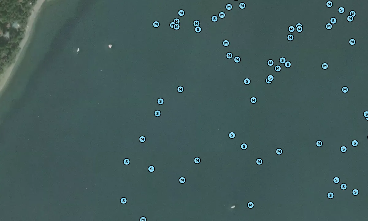 Satelite image of Mud Bay 1