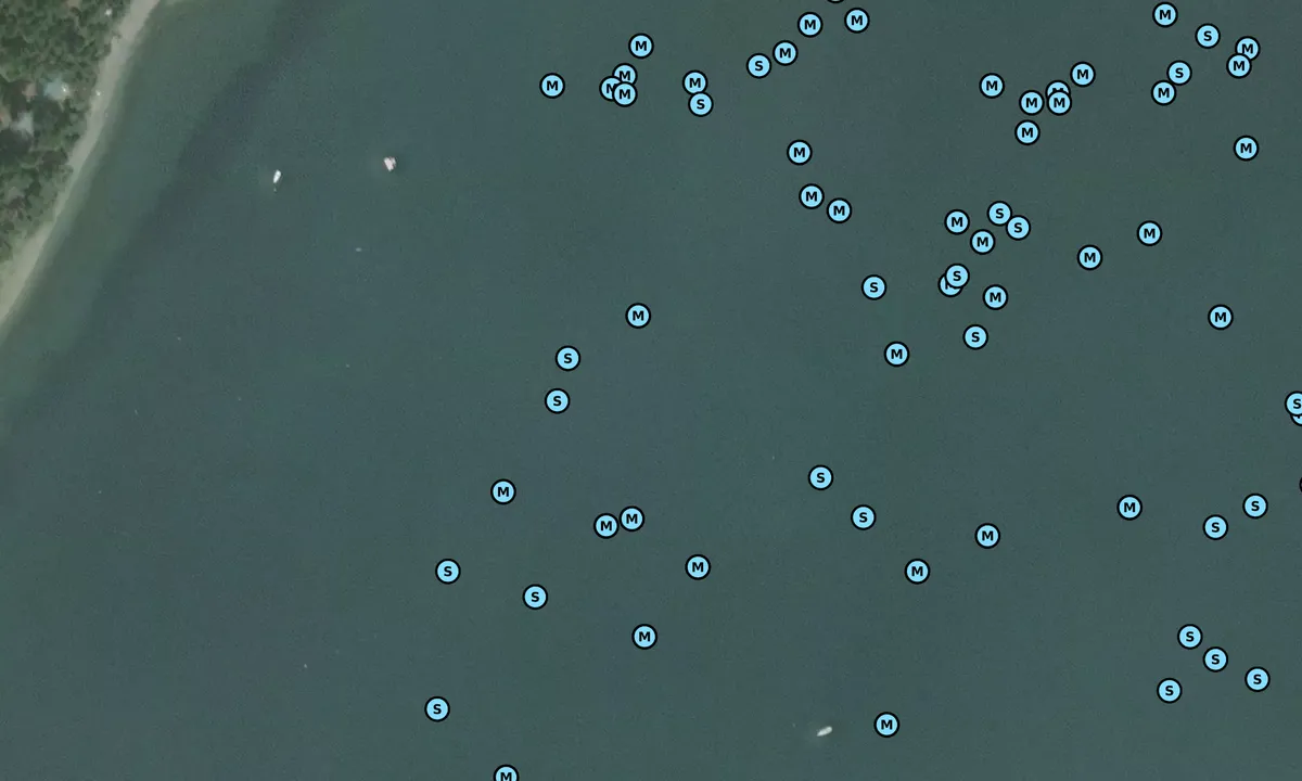 Satelite image of Mud Bay 1
