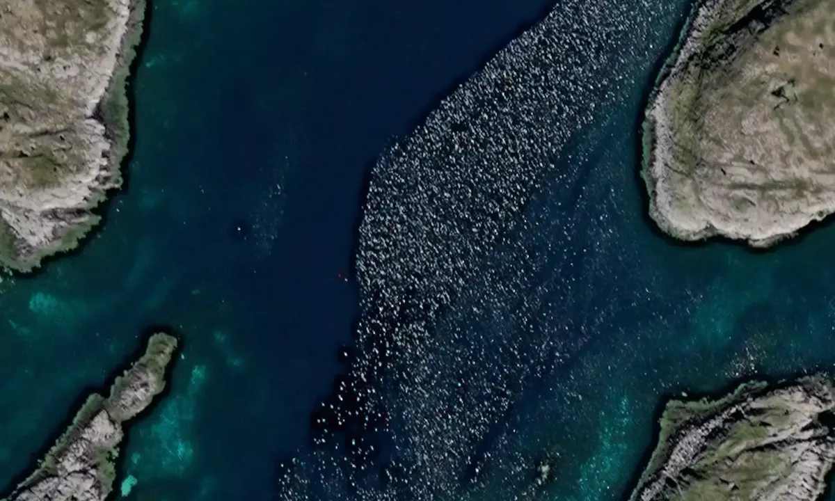 Satelite image of Muddværet