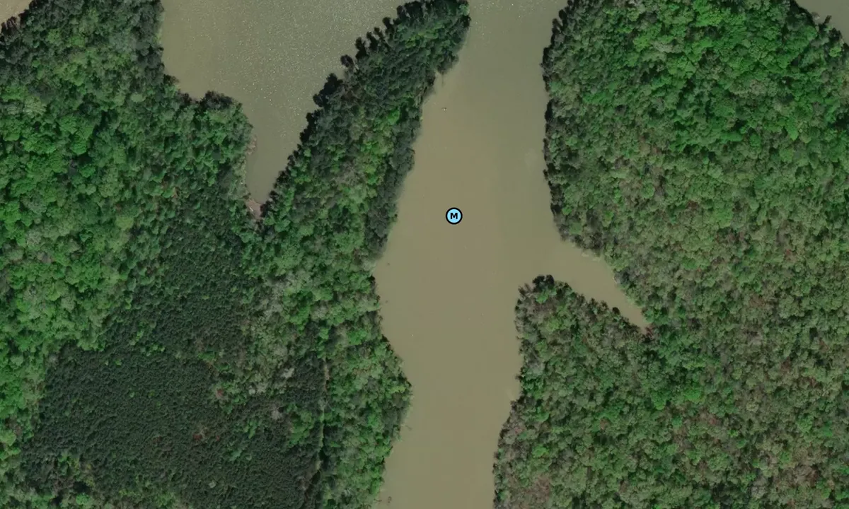 Satelite image of Murphy Slough