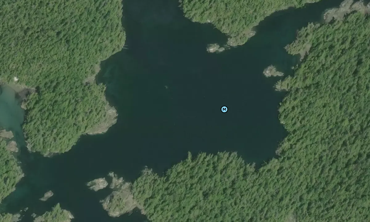 Satelite image of Murray Labyrinth