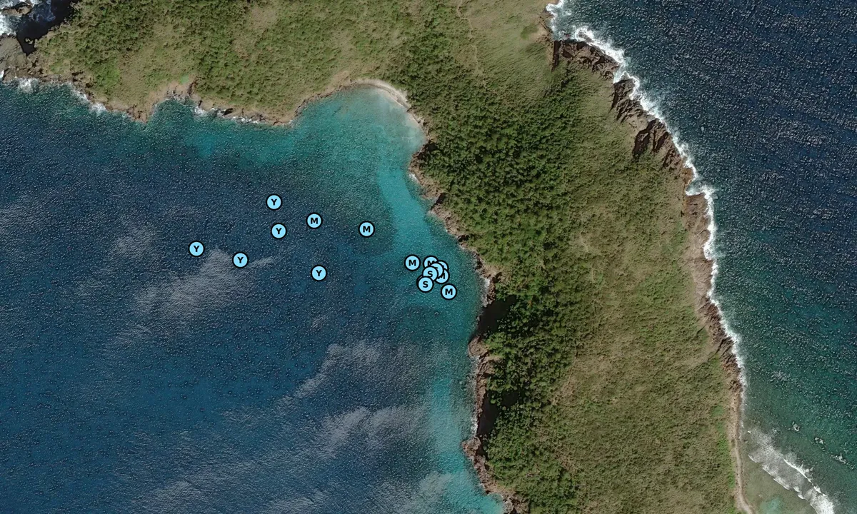 Satelite image of Muskmelon Bay