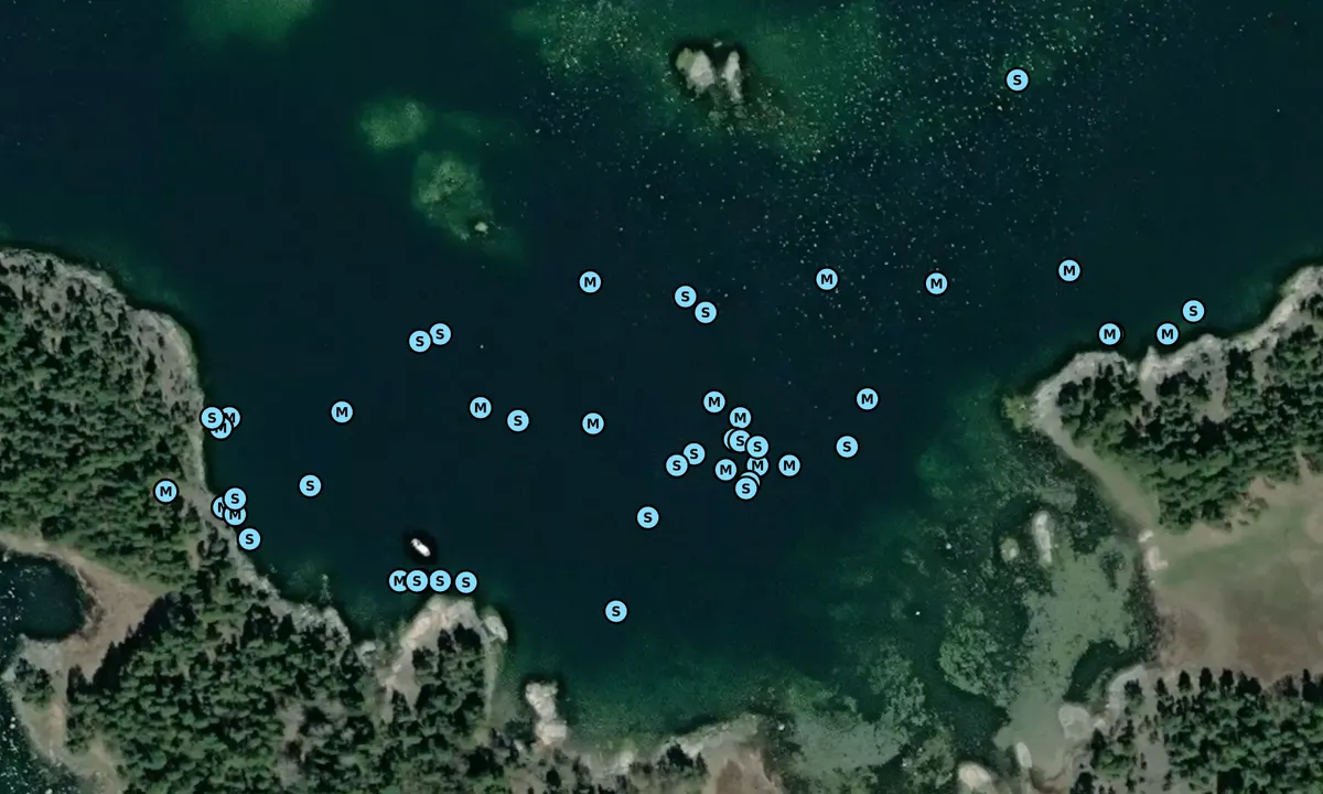 Satelite image of Myrängsflacket