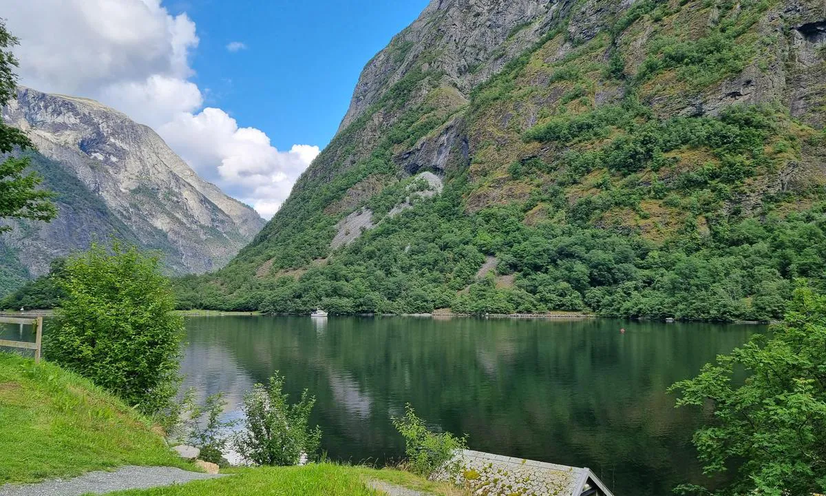 Nærøyfjorden, Holmaviki: Fin ankringsplass i Inste Holmaviki, bilde tatt fra Bakka