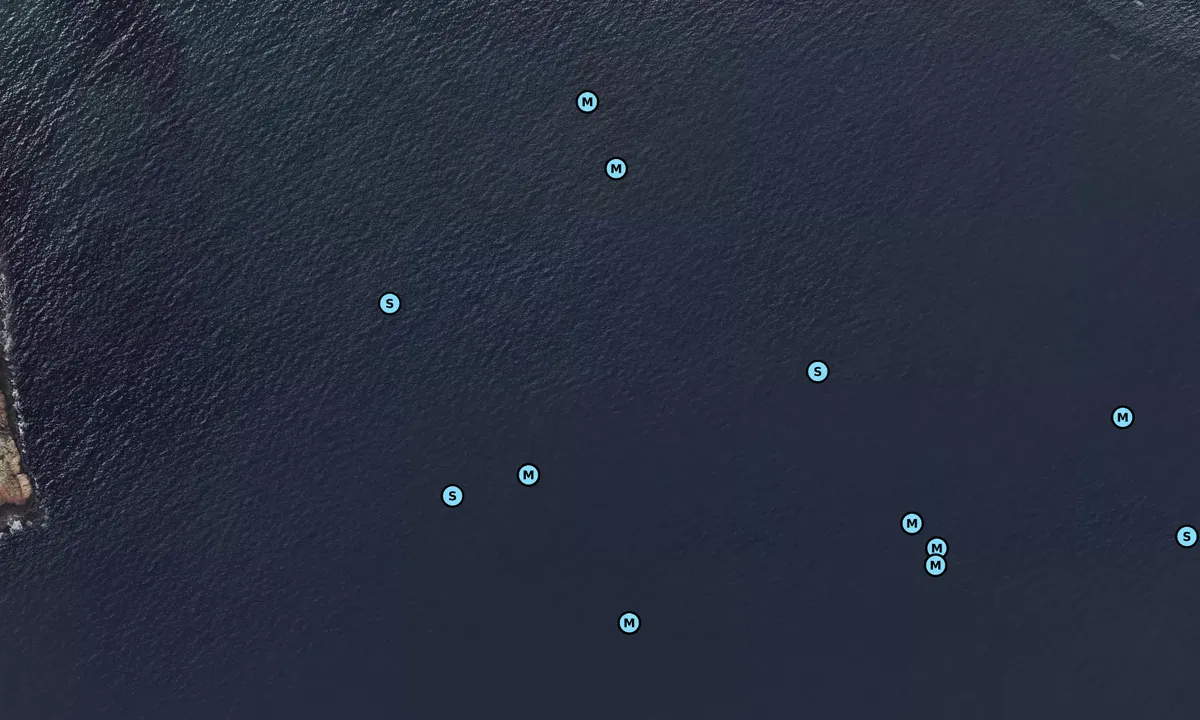 Satelite image of Nahant Harbor