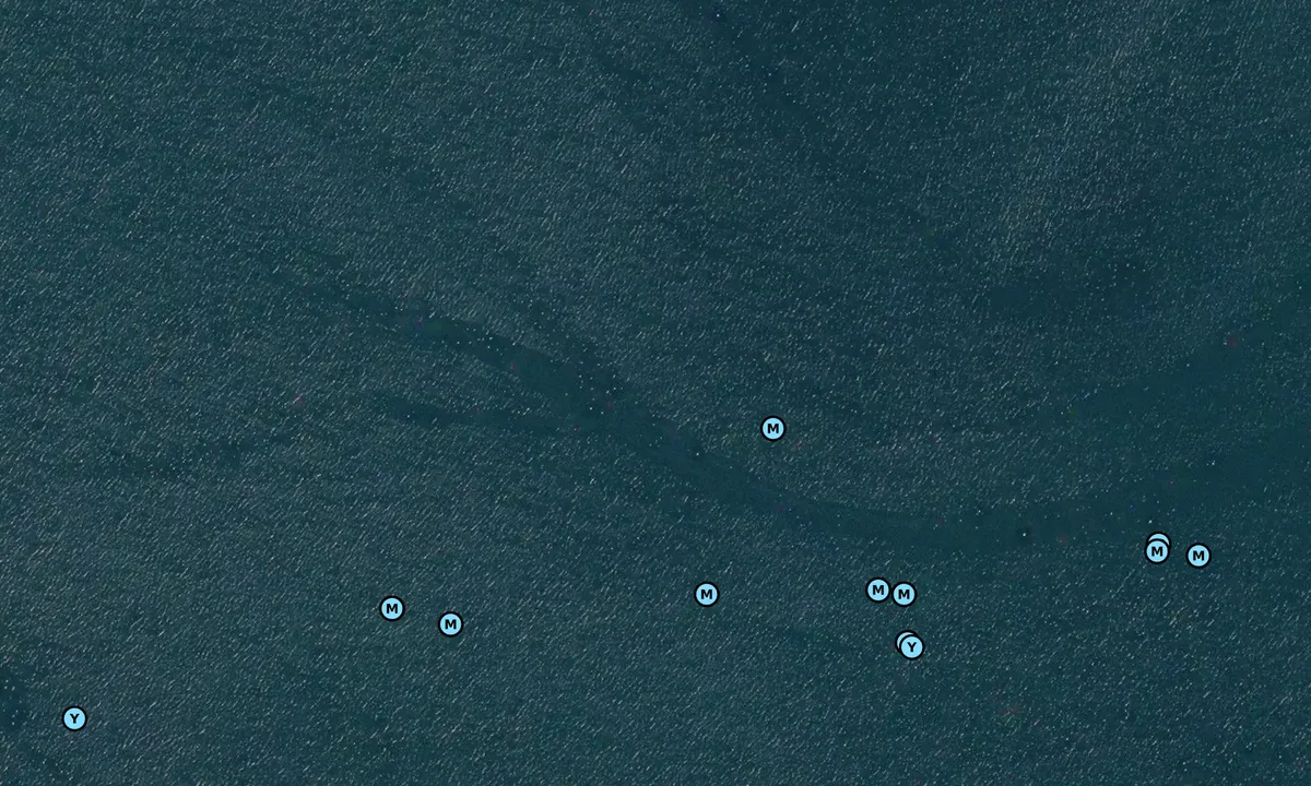 Satelite image of Nanoose Harbour South