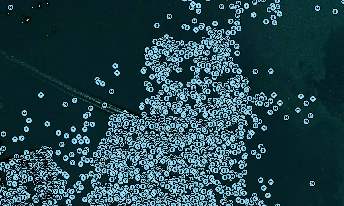 Satelite image of Nantucket Moorings
