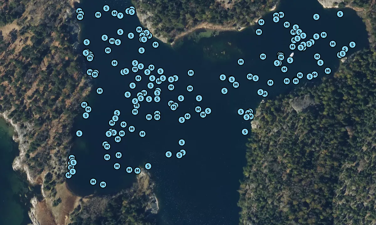 Satelite image of Napoleonviken