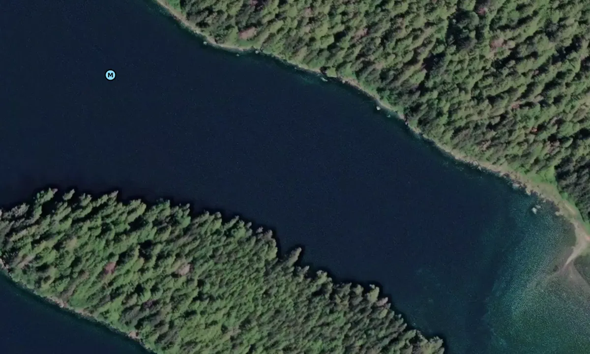 Satelite image of Nelson Island