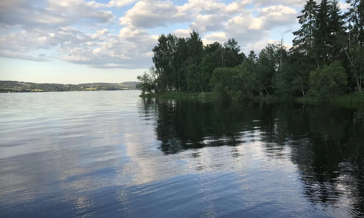 Nerliholmen: Sett mor sør