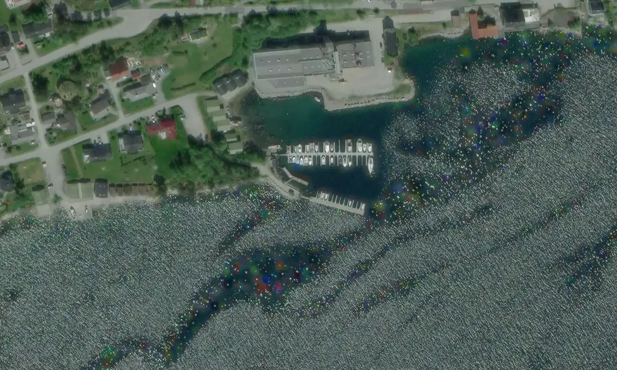 Satelite image of Nesjetranda - Hamnevika