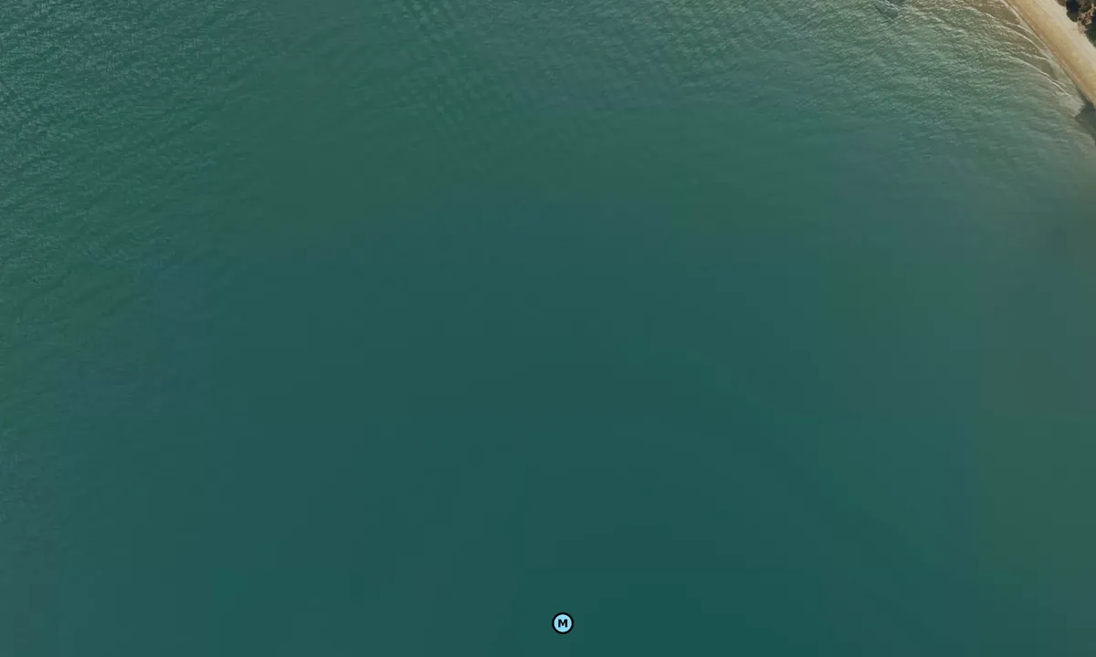 Satelite image of Netley