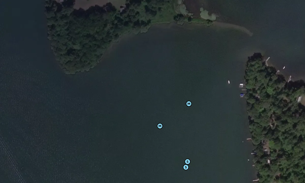 Satelite image of Newark Island - South