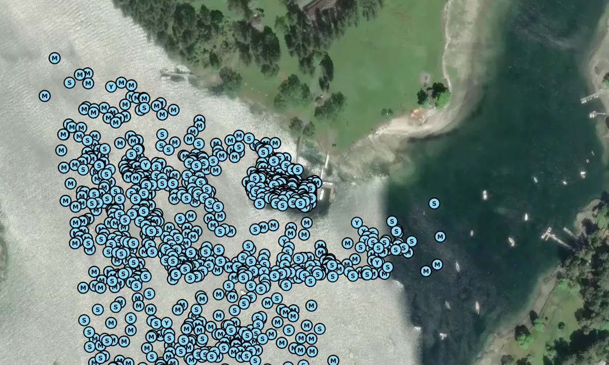 Satelite image of Newcastle Island Marine Park