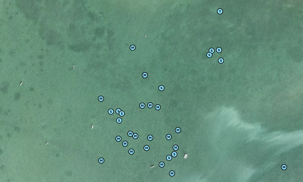 Satelite image of Newfound Harbor