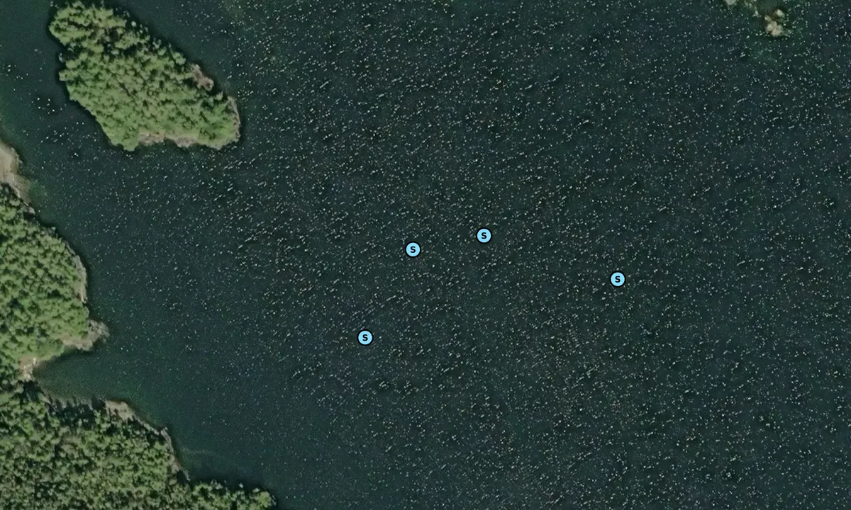Satelite image of Nichols Bay - South