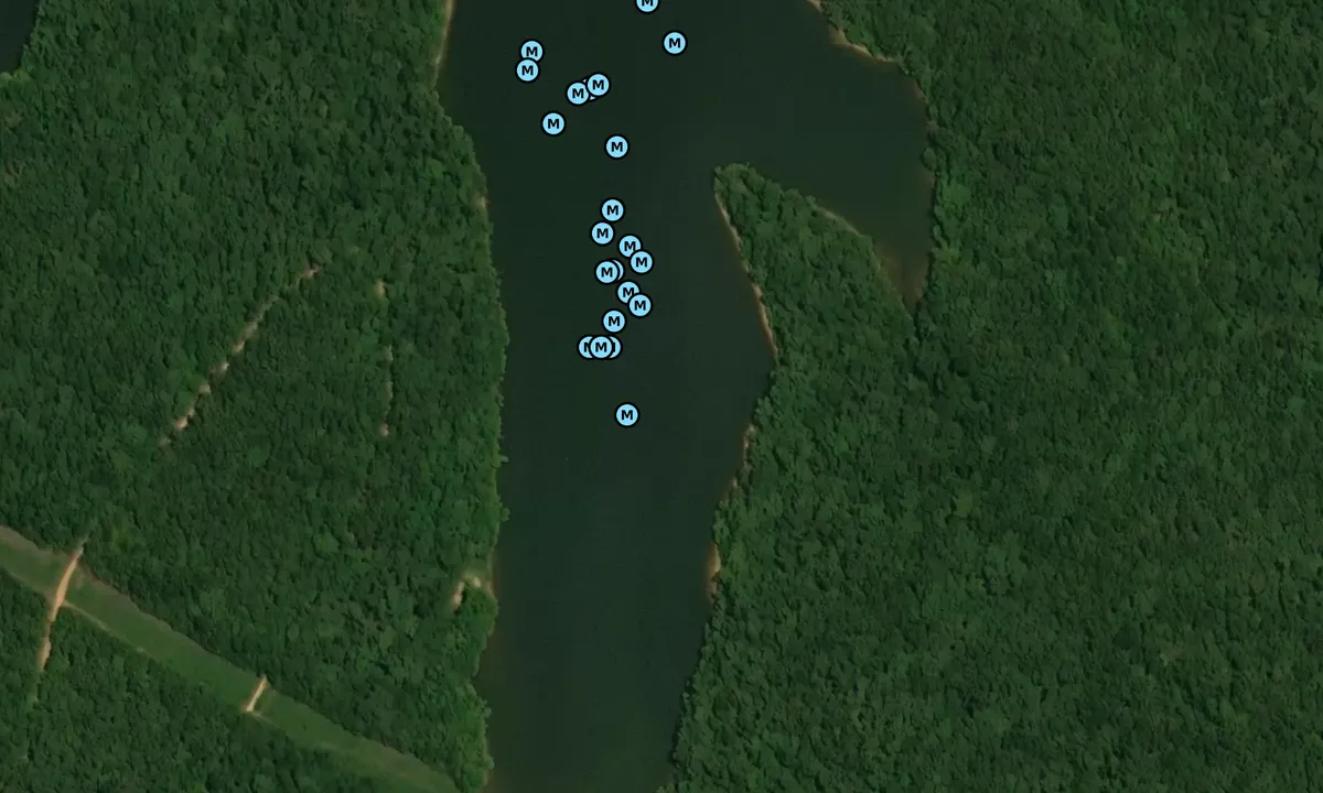 Satelite image of Nickell Bay