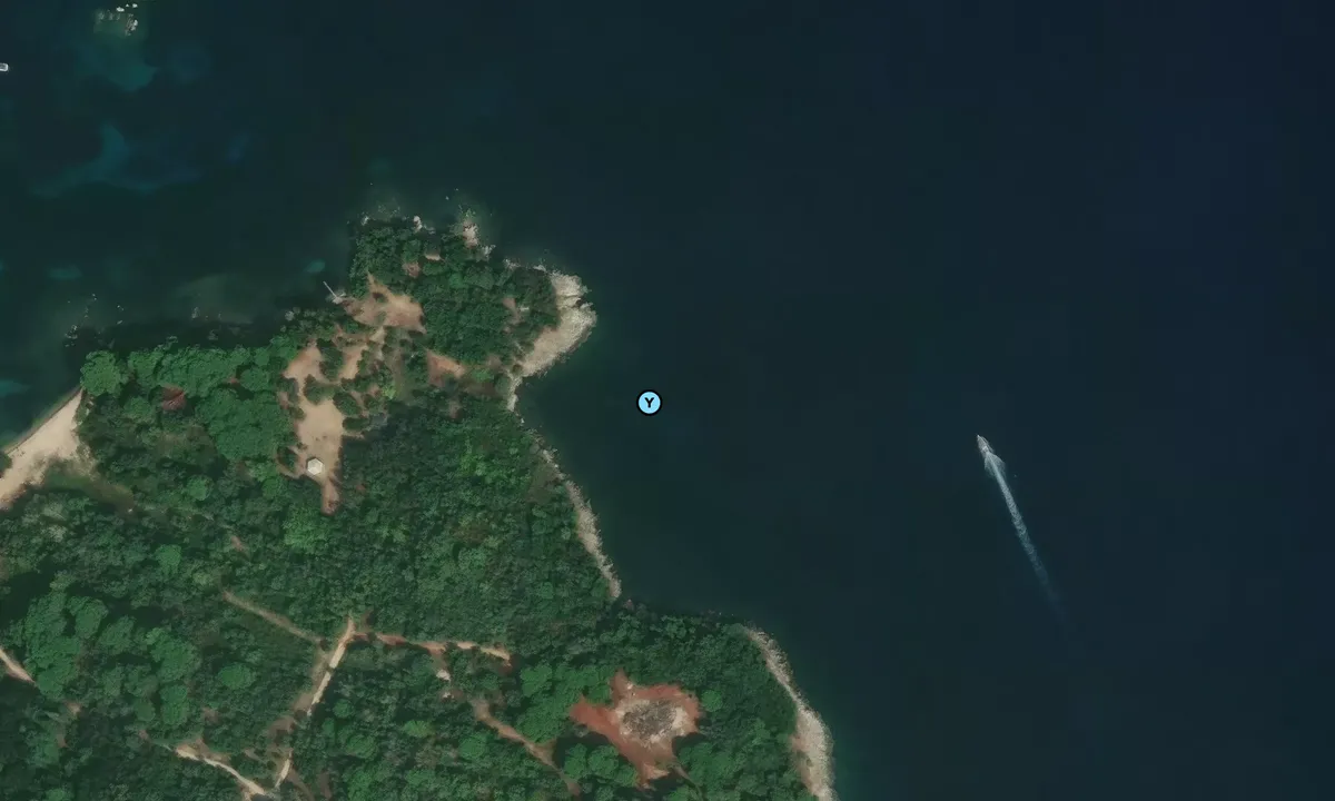 Satelite image of Nisida Vido East