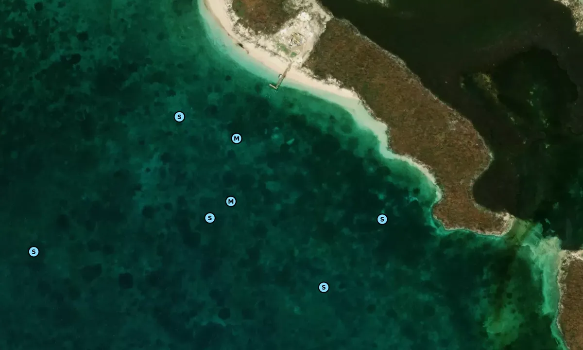 Satelite image of No Name Cay