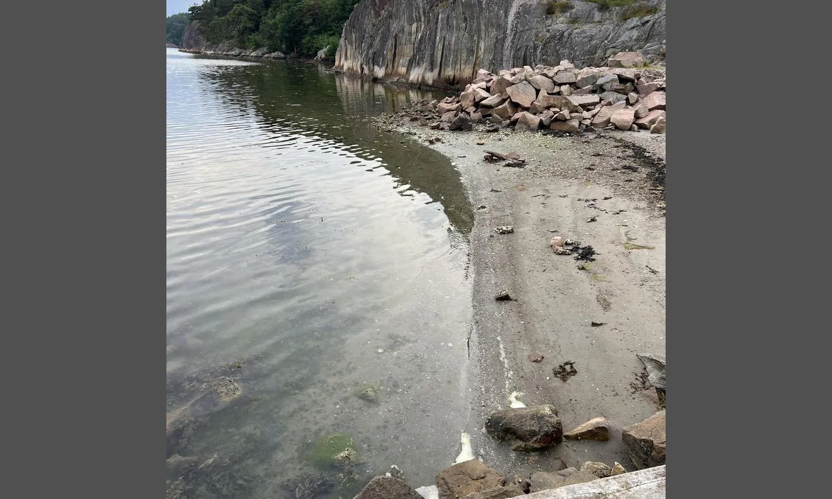 Nordens Ark Djurpark: {"base": "no", "no": "Liten strand ved brygga", "se": "Liten strand vid bryggan", "en": "Small beach by the dock", "da": "Lille strand ved broen", "fr": "Petite plage pr\u00e8s du quai", "de": "Kleiner Strand am Steg", "es": "Peque\u00f1a playa junto al muelle", "it": "Piccola spiaggia vicino al molo", "pt": "Pequena praia junto ao cais", "nl": "Klein strand bij de steiger", "pl": "Ma\u0142a pla\u017ca przy nabrze\u017cu", "uk": "\u041d\u0435\u0432\u0435\u043b\u0438\u043a\u0438\u0439 \u043f\u043b\u044f\u0436 \u0431\u0456\u043b\u044f \u043f\u0440\u0438\u0447\u0430\u043b\u0443", "ro": "Plaj\u0103 mic\u0103 l\u00e2ng\u0103 debarcader", "tr": "\u0130skelede k\u00fc\u00e7\u00fck plaj", "el": "\u039c\u03b9\u03ba\u03c1\u03ae \u03c0\u03b1\u03c1\u03b1\u03bb\u03af\u03b1 \u03b4\u03af\u03c0\u03bb\u03b1 \u03c3\u03c4\u03bf\u03bd \u03c0\u03c1\u03bf\u03b2\u03bb\u03ae\u03c4\u03b1", "cs": "Mal\u00e1 pl\u00e1\u017e u mola", "hu": "Kis strand a m\u00f3l\u00f3n\u00e1l", "fi": "Pieni ranta laiturin vieress\u00e4", "bg": "\u041c\u0430\u043b\u044a\u043a \u043f\u043b\u0430\u0436 \u0434\u043e \u043a\u0435\u044f", "sr": "Mala pla\u017ea kod pristani\u0161ta", "et": "V\u00e4ike rand kai juures", "lv": "Maza pludmale pie piest\u0101tnes", "lt": "Ma\u017eas papl\u016bdimys prie prieplaukos"}