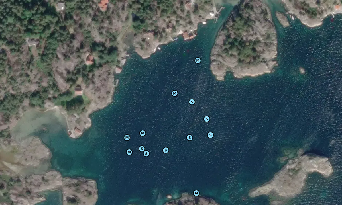 Satelite image of Nordmannsviga