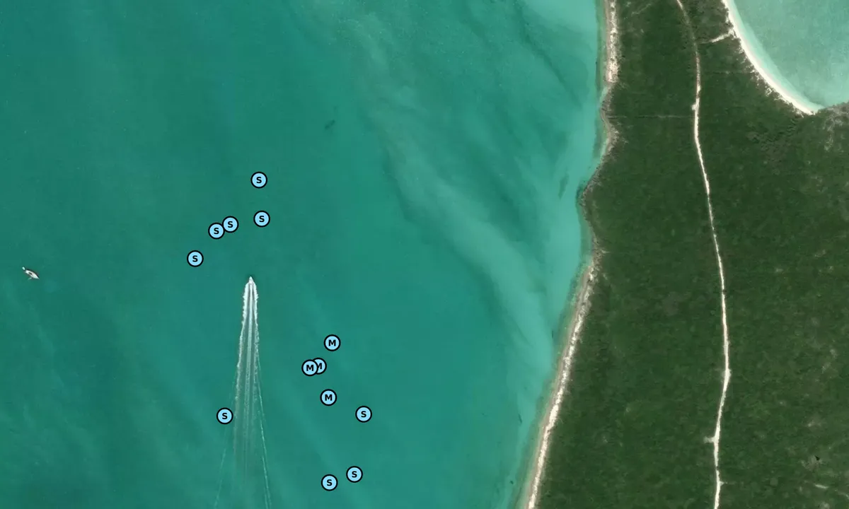 Satelite image of Norman's Cay - 3