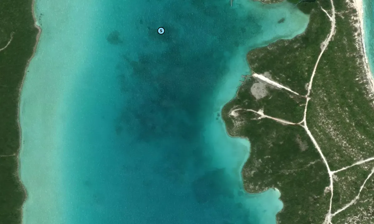 Satelite image of Norman's Pond