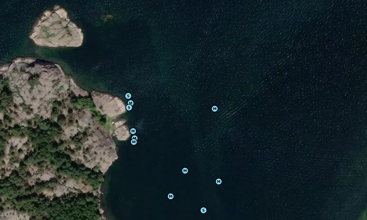 Satelite image of Norra Björnholmen