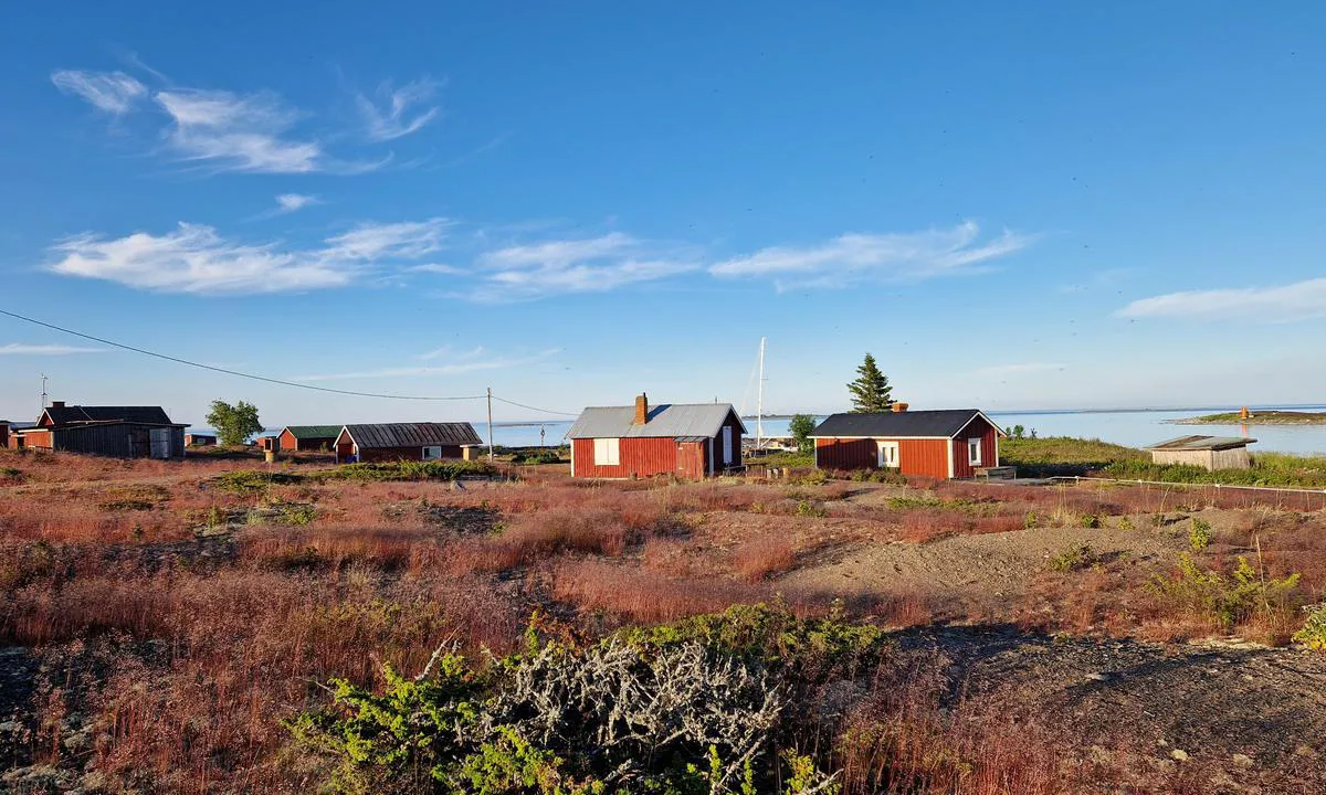 Norrskär - Vasa: {"base": "en", "no": "Fine turer uten tr\u00e6r.", "se": "Trevlig promenad utan tr\u00e4d.", "en": "Nice walks without trees.", "da": "Dejlige g\u00e5ture uden tr\u00e6er.", "fr": "Des promenades agr\u00e9ables sans arbres.", "de": "Sch\u00f6ne Spazierg\u00e4nge ohne B\u00e4ume.", "es": "Bonitos paseos sin \u00e1rboles.", "it": "Belle passeggiate senza alberi.", "pt": "Bons passeios sem \u00e1rvores.", "nl": "Mooie wandelingen zonder bomen.", "pl": "\u0141adne spacery bez drzew.", "uk": "\u041f\u0440\u0438\u0454\u043c\u043d\u0456 \u043f\u0440\u043e\u0433\u0443\u043b\u044f\u043d\u043a\u0438 \u0431\u0435\u0437 \u0434\u0435\u0440\u0435\u0432.", "ro": "Plimb\u0103ri pl\u0103cute f\u0103r\u0103 copaci.", "tr": "A\u011fa\u00e7s\u0131z g\u00fczel y\u00fcr\u00fcy\u00fc\u015fler.", "el": "\u03a9\u03c1\u03b1\u03af\u03b5\u03c2 \u03b2\u03cc\u03bb\u03c4\u03b5\u03c2 \u03c7\u03c9\u03c1\u03af\u03c2 \u03b4\u03ad\u03bd\u03c4\u03c1\u03b1.", "cs": "P\u011bkn\u00e9 proch\u00e1zky bez strom\u016f.", "hu": "Sz\u00e9p s\u00e9t\u00e1k f\u00e1k n\u00e9lk\u00fcl.", "fi": "Mukavia k\u00e4velyretki\u00e4 ilman puita.", "bg": "\u041f\u0440\u0438\u044f\u0442\u043d\u0438 \u0440\u0430\u0437\u0445\u043e\u0434\u043a\u0438 \u0431\u0435\u0437 \u0434\u044a\u0440\u0432\u0435\u0442\u0430.", "sr": "Lepi \u0161etnje bez drve\u0107a.", "et": "Ilusad jalutusk\u00e4igud ilma puudeta.", "lv": "Pat\u012bkamas pastaigas bez kokiem.", "lt": "Malon\u016bs pasivaik\u0161\u010diojimai be med\u017ei\u0173."}
