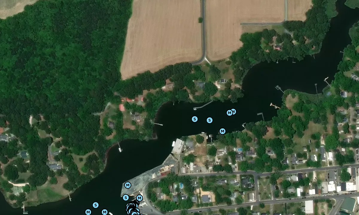Satelite image of North Branch