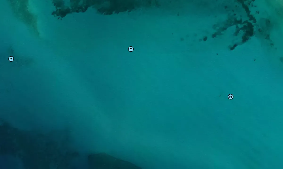 Satelite image of North Cat Cay - South